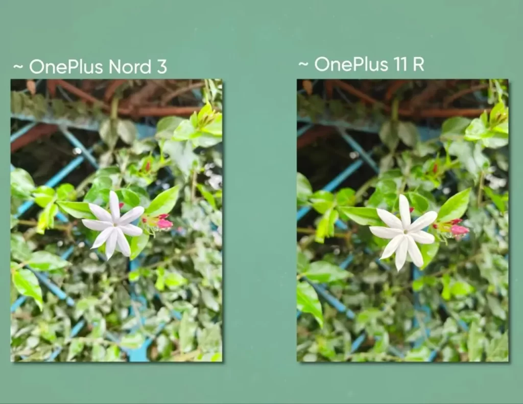 Comparaison des caméras entre OnePlus 11r et un plus nord 3